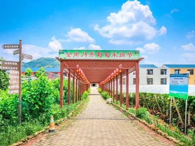 富硒桑叶茶什么时候喝好（喝桑叶茶对身体有好处吗）-硒宝网