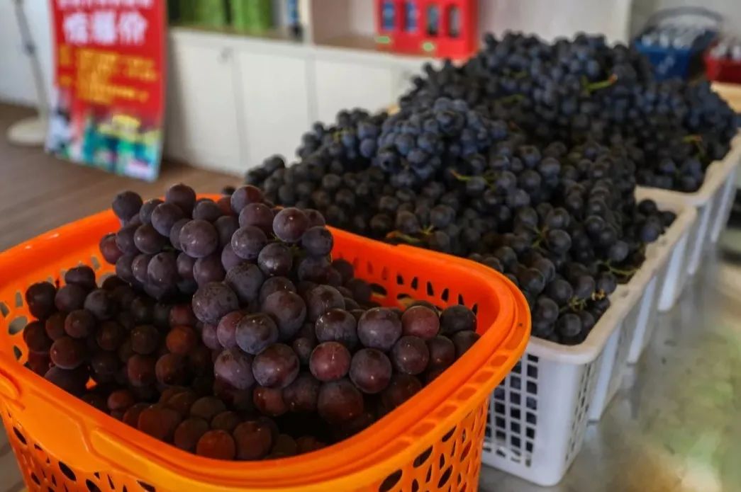 富硒桑叶茶什么时候喝好（喝桑叶茶对身体有好处吗）-硒宝网