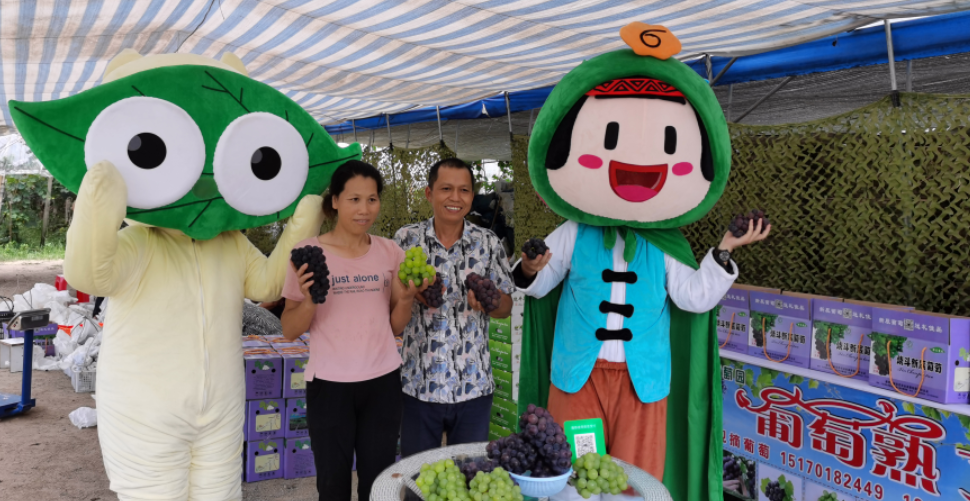 富硒桑叶茶什么时候喝好（喝桑叶茶对身体有好处吗）-硒宝网