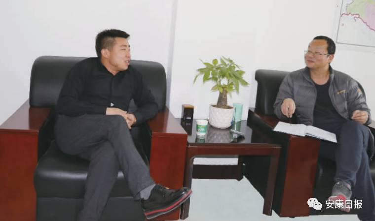 西安紫阳富硒茶在哪里卖(紫阳富硒茶厂)-硒宝网