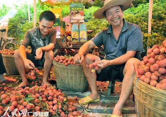 富硒茶属于凉性还是热性(凉茶性寒吗)-硒宝网