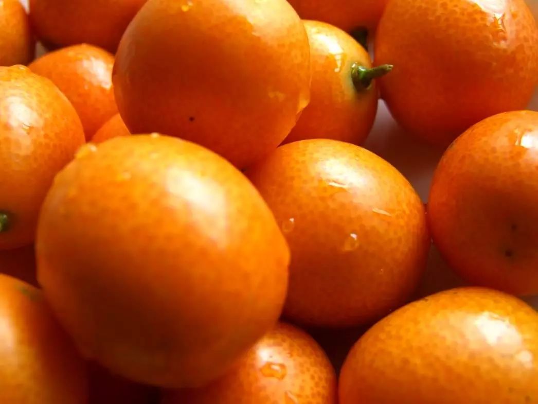 富硒茶属于凉性还是热性(凉茶性寒吗)-硒宝网