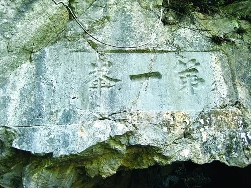 富硒茶属于凉性还是热性(凉茶性寒吗)-硒宝网