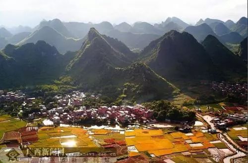 富硒茶属于凉性还是热性(凉茶性寒吗)-硒宝网