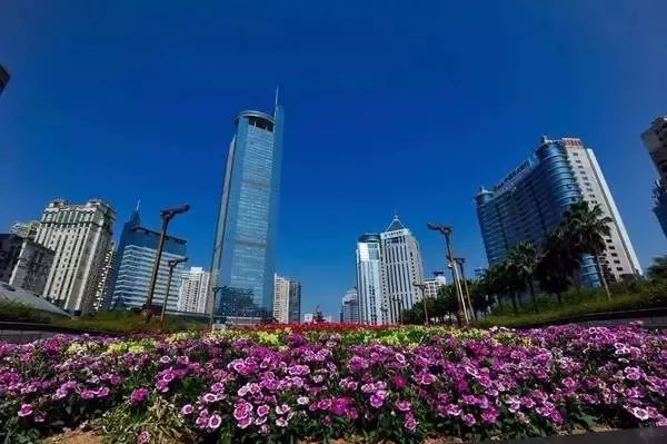 富硒茶属于凉性还是热性(凉茶性寒吗)-硒宝网