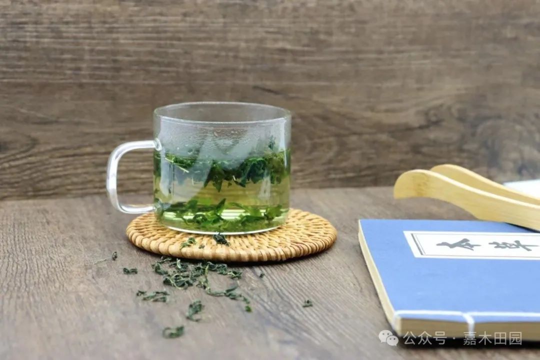 富硒桑叶茶什么时候喝好(喝桑叶茶坏处)-硒宝网