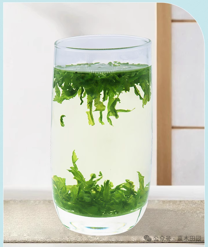 富硒桑叶茶什么时候喝好(喝桑叶茶坏处)-硒宝网