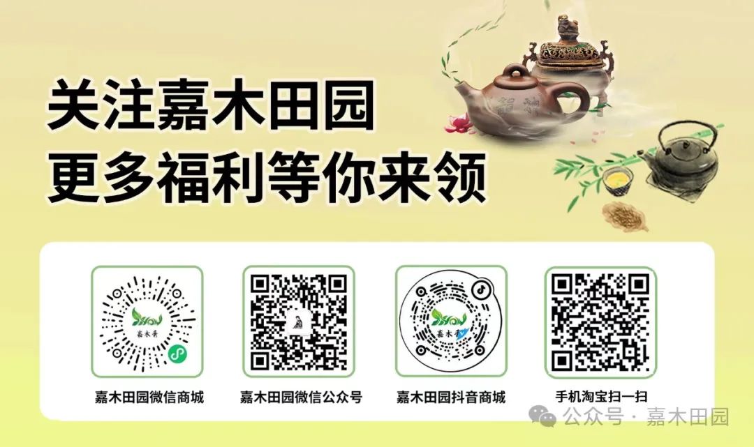 富硒桑叶茶什么时候喝好(喝桑叶茶坏处)-硒宝网