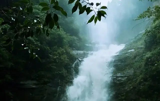 如何在恩施当地买富硒茶(湖北的恩施富硒茶厂)-硒宝网