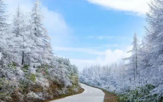 如何在恩施当地买富硒茶(湖北的恩施富硒茶厂)-硒宝网