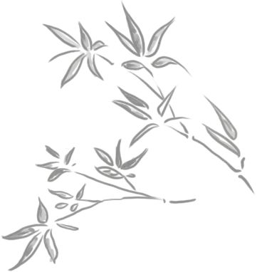 如何在恩施当地买富硒茶(湖北的恩施富硒茶厂)-硒宝网