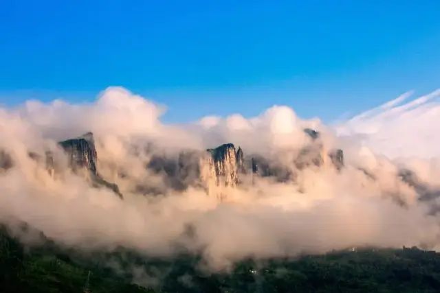如何在恩施当地买富硒茶(湖北的恩施富硒茶厂)-硒宝网