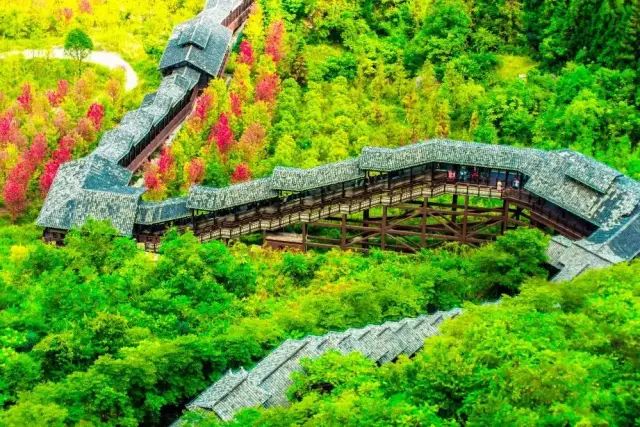 如何在恩施当地买富硒茶(湖北的恩施富硒茶厂)-硒宝网