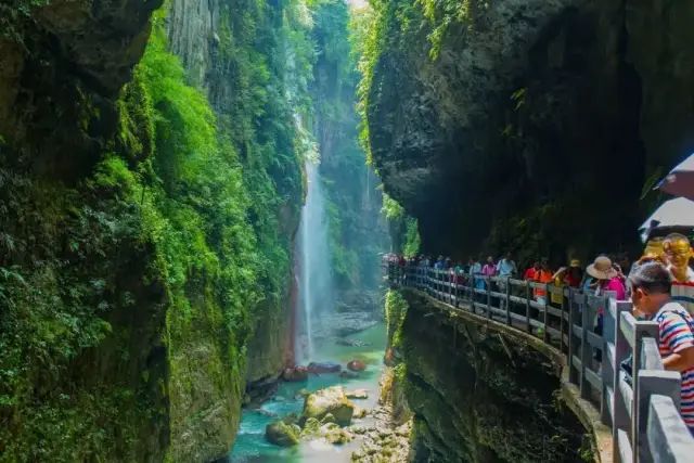 如何在恩施当地买富硒茶(湖北的恩施富硒茶厂)-硒宝网