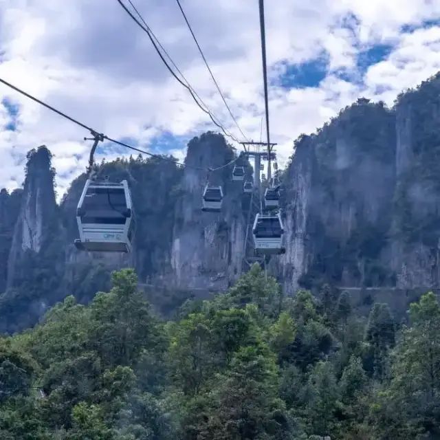 如何在恩施当地买富硒茶(湖北的恩施富硒茶厂)-硒宝网