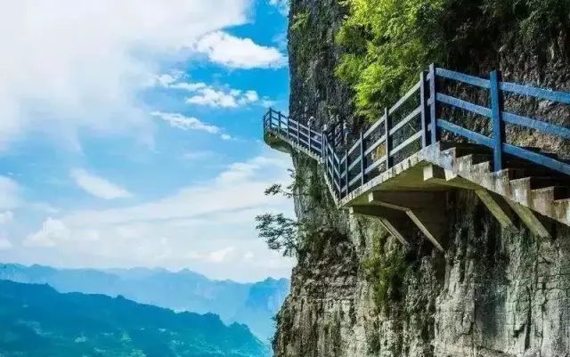 如何在恩施当地买富硒茶(湖北的恩施富硒茶厂)-硒宝网