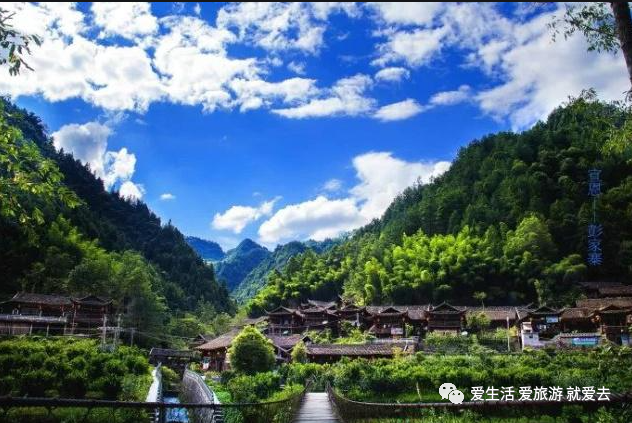 如何在恩施当地买富硒茶(湖北的恩施富硒茶厂)-硒宝网