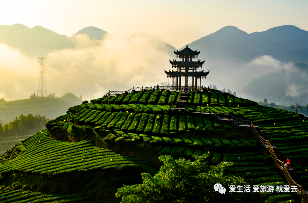 如何在恩施当地买富硒茶(湖北的恩施富硒茶厂)-硒宝网