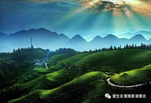 如何在恩施当地买富硒茶(湖北的恩施富硒茶厂)-硒宝网