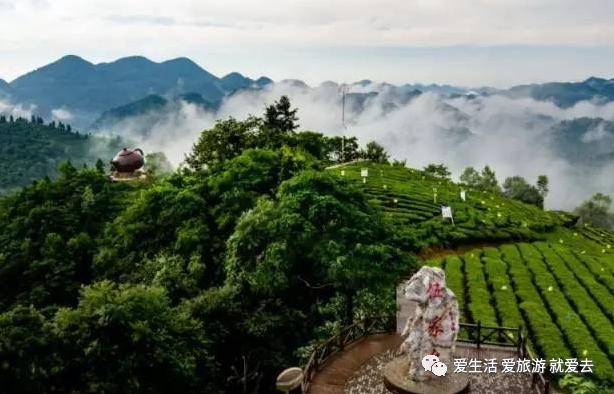 如何在恩施当地买富硒茶(湖北的恩施富硒茶厂)-硒宝网