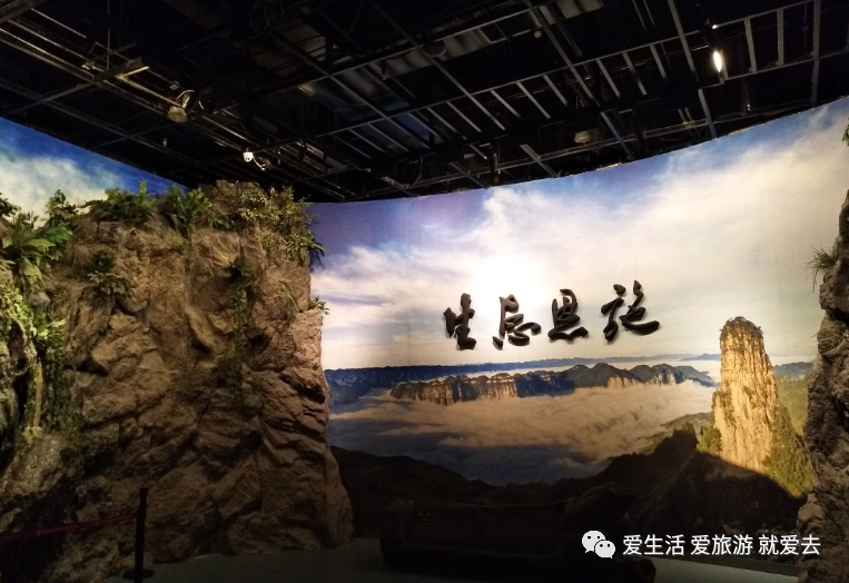 如何在恩施当地买富硒茶(湖北的恩施富硒茶厂)-硒宝网