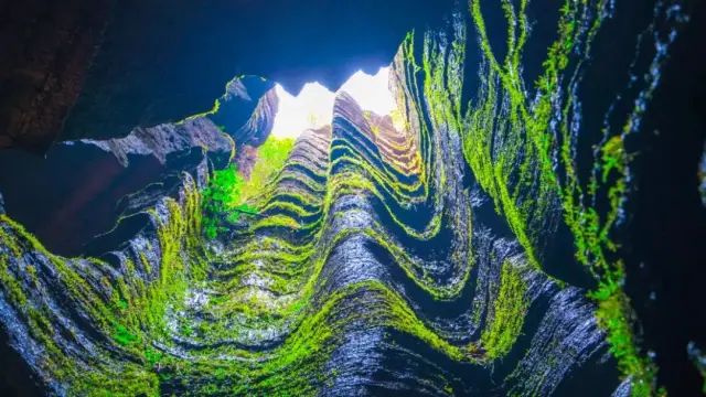 如何在恩施当地买富硒茶(湖北的恩施富硒茶厂)-硒宝网