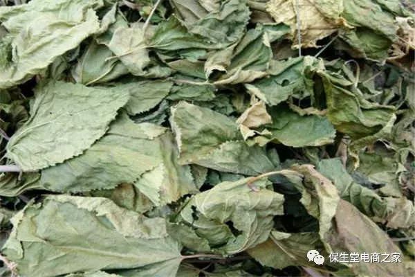 富硒桑叶茶什么时候喝好(饮用桑叶茶的好处)-硒宝网