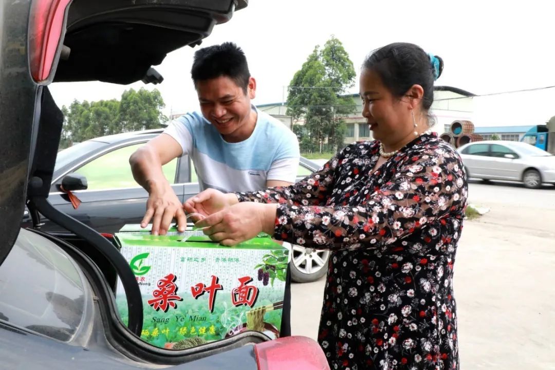 广西贵港港农桑叶茶富硒(广西贵港市茶叶)-硒宝网
