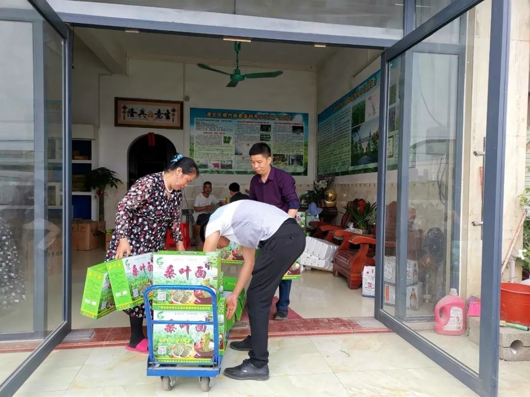 广西贵港港农桑叶茶富硒(广西贵港市茶叶)-硒宝网