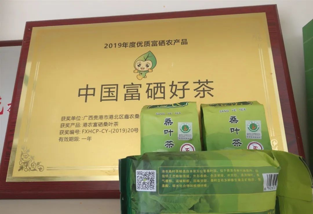 广西贵港港农桑叶茶富硒(广西贵港市茶叶)-硒宝网