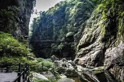 如何在恩施当地买富硒茶(恩施富硒茶市场定位分析)-硒宝网