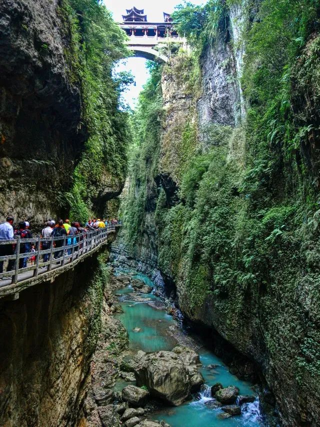 如何在恩施当地买富硒茶(恩施富硒茶市场定位分析)-硒宝网