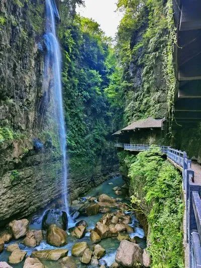 如何在恩施当地买富硒茶(恩施富硒茶市场定位分析)-硒宝网