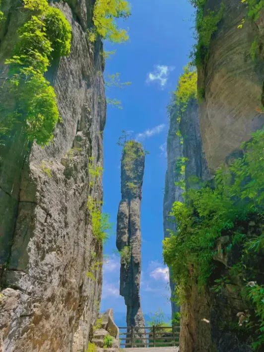 如何在恩施当地买富硒茶(恩施富硒茶市场定位分析)-硒宝网