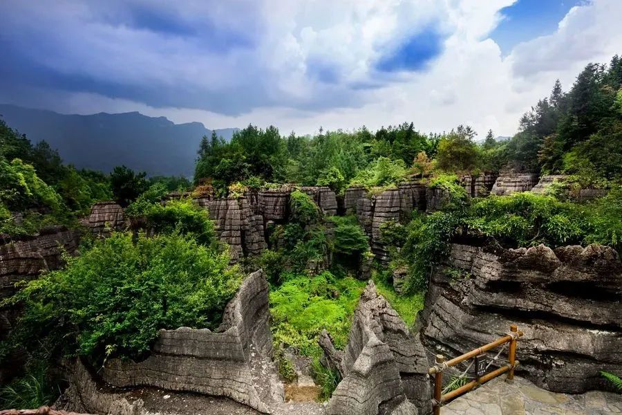 如何在恩施当地买富硒茶(恩施富硒茶市场定位分析)-硒宝网