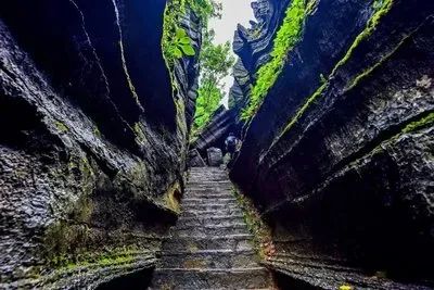 如何在恩施当地买富硒茶(恩施富硒茶市场定位分析)-硒宝网