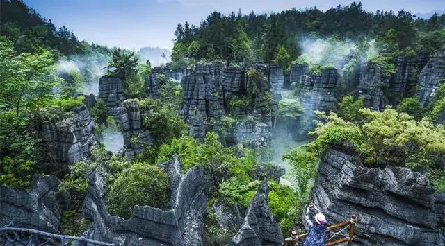 如何在恩施当地买富硒茶(恩施富硒茶市场定位分析)-硒宝网