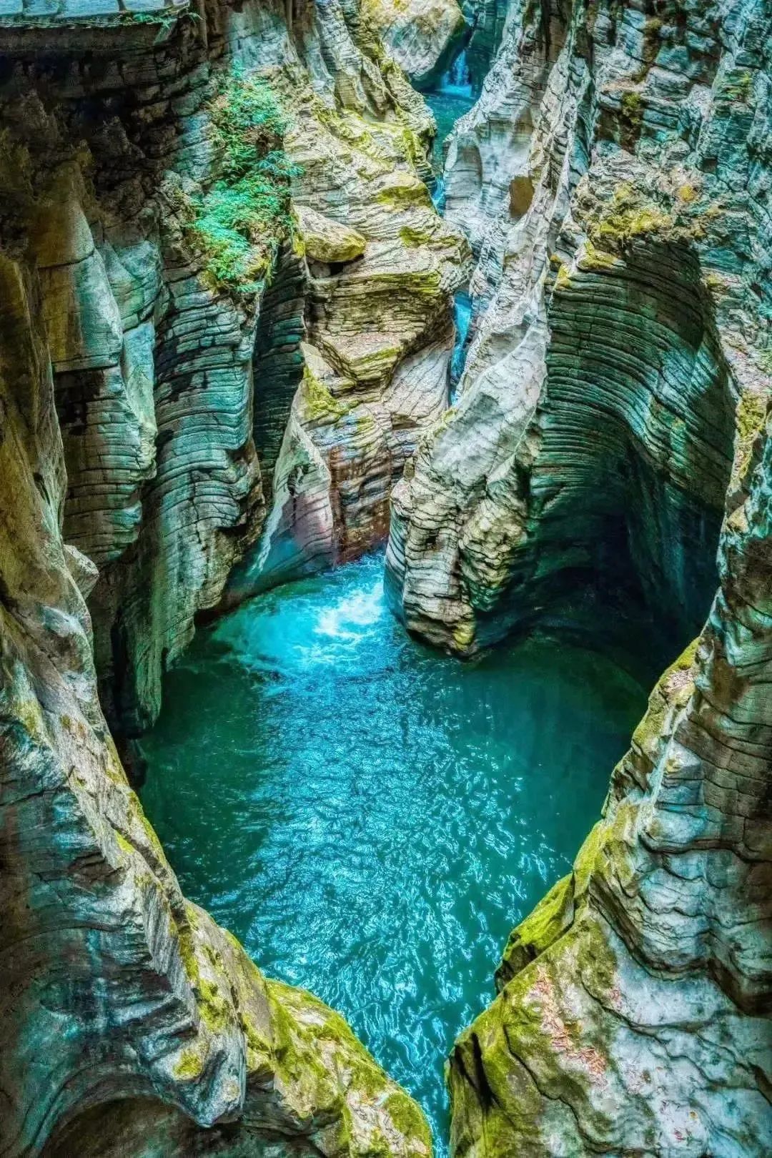 如何在恩施当地买富硒茶(恩施富硒茶市场定位分析)-硒宝网