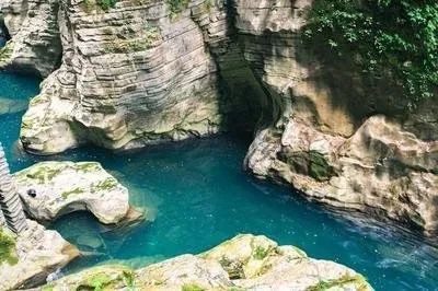 如何在恩施当地买富硒茶(恩施富硒茶市场定位分析)-硒宝网