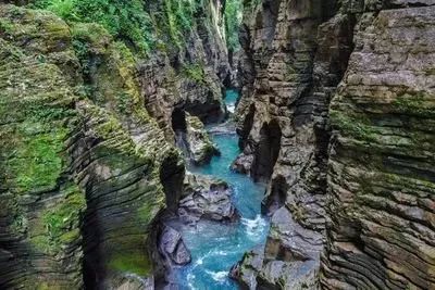 如何在恩施当地买富硒茶(恩施富硒茶市场定位分析)-硒宝网