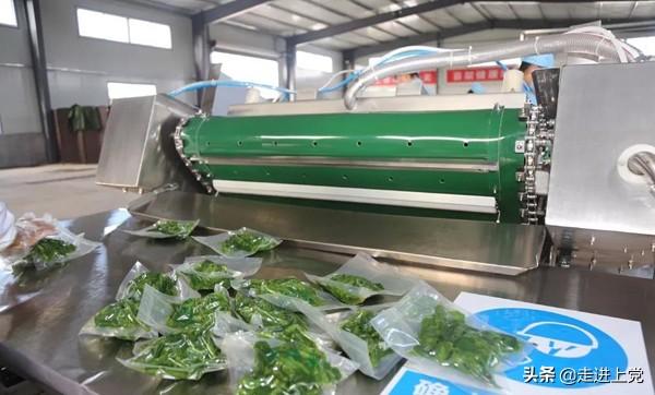 山西富硒桑叶茶哪里有卖（桑叶茶价格）-硒宝网