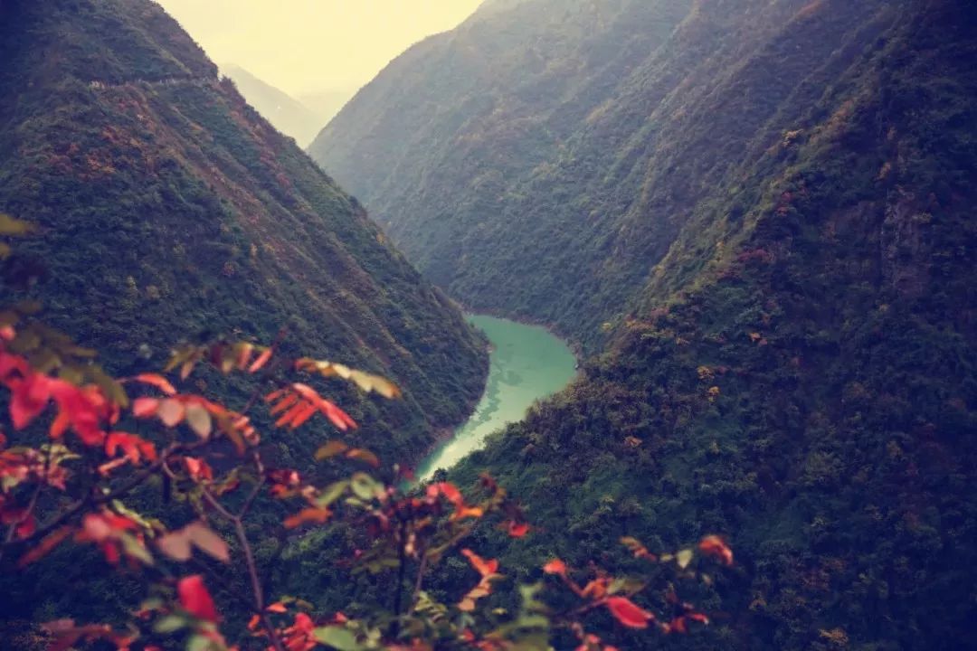 西安哪里买紫阳富硒茶好(陕西紫阳富硒茶是红茶还是绿茶)-硒宝网
