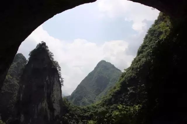 西安哪里买紫阳富硒茶好(陕西紫阳富硒茶是红茶还是绿茶)-硒宝网