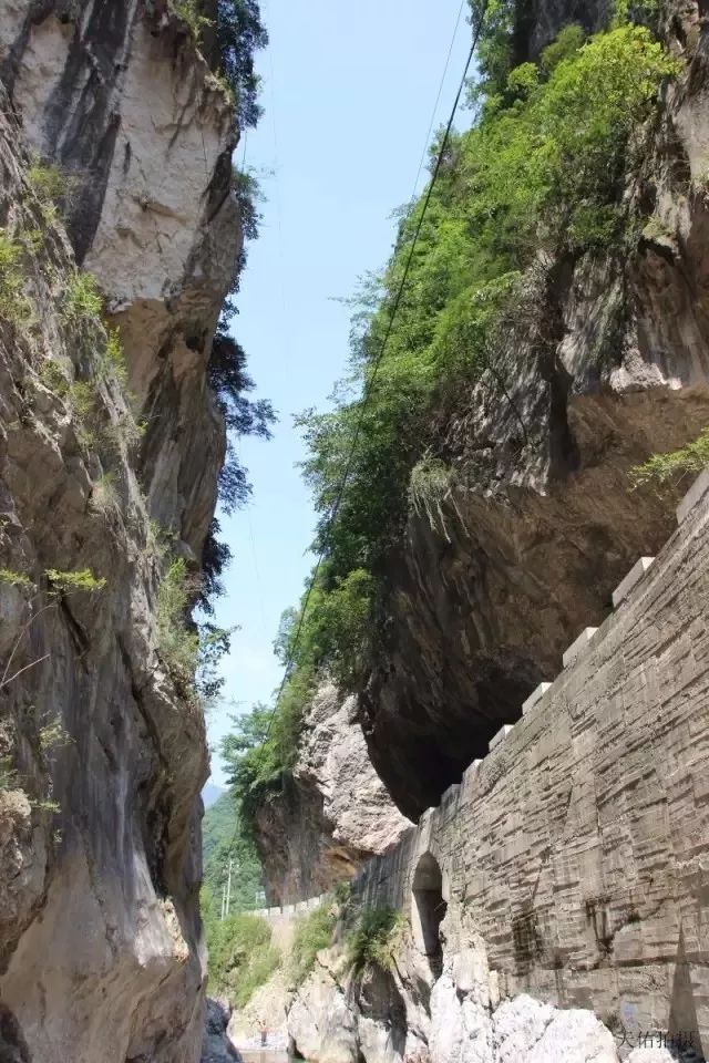 西安哪里买紫阳富硒茶好(陕西紫阳富硒茶是红茶还是绿茶)-硒宝网