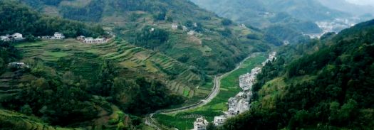 西安哪里买紫阳富硒茶好(陕西紫阳富硒茶是红茶还是绿茶)-硒宝网