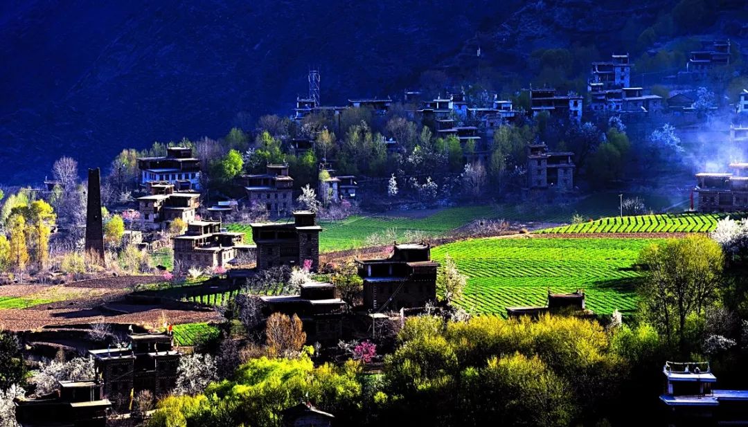 西安哪里买紫阳富硒茶好(陕西紫阳富硒茶是红茶还是绿茶)-硒宝网