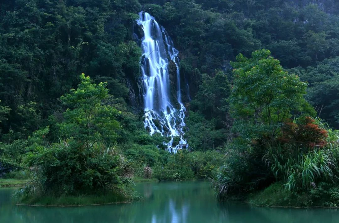 西安哪里买紫阳富硒茶好(陕西紫阳富硒茶是红茶还是绿茶)-硒宝网