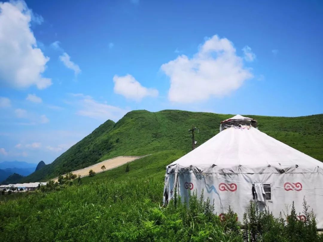 西安哪里买紫阳富硒茶好(陕西紫阳富硒茶是红茶还是绿茶)-硒宝网