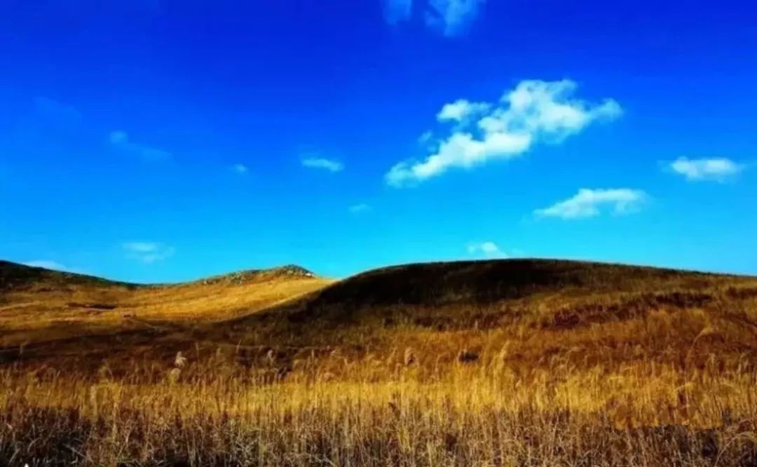 西安哪里买紫阳富硒茶好(陕西紫阳富硒茶是红茶还是绿茶)-硒宝网
