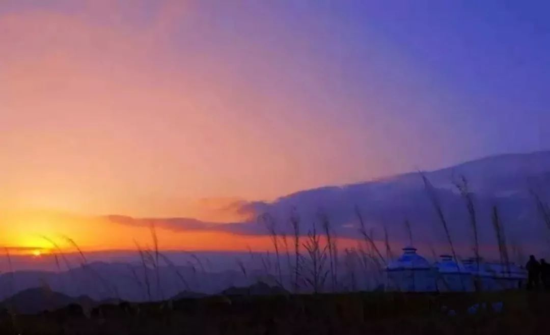 西安哪里买紫阳富硒茶好(陕西紫阳富硒茶是红茶还是绿茶)-硒宝网